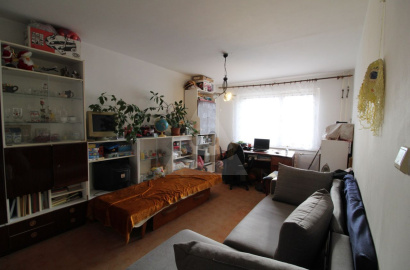 Large 2-room flat for sale, Podbreziny